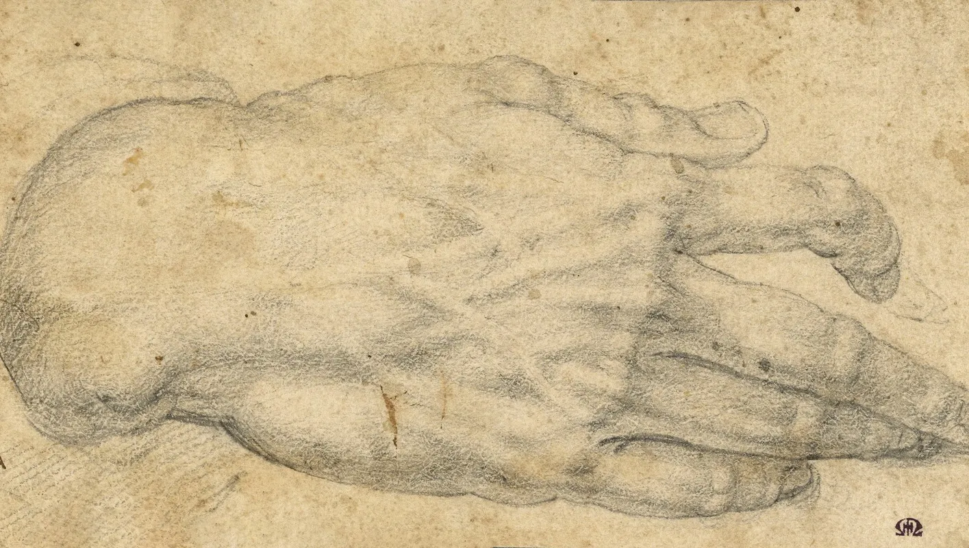 Study Of A Mans Right Hand