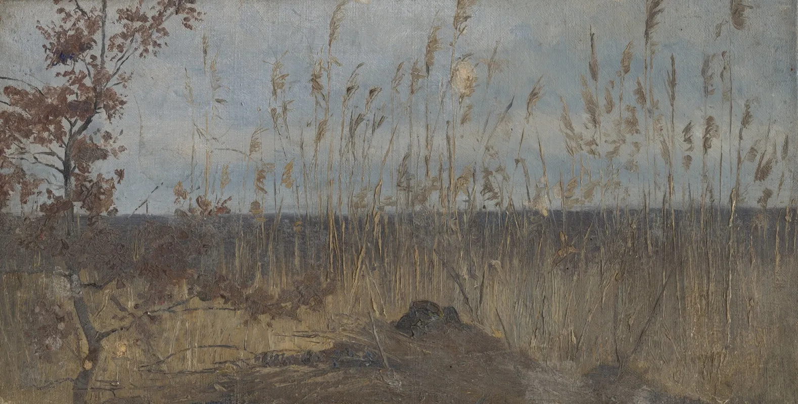 Study Of A Marsh Landscape by Ladislav Mednyánszky - Canvas Print
