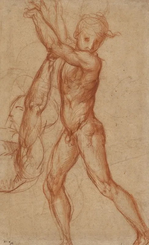 Study Of A Nude Boy Partial Figure Study
