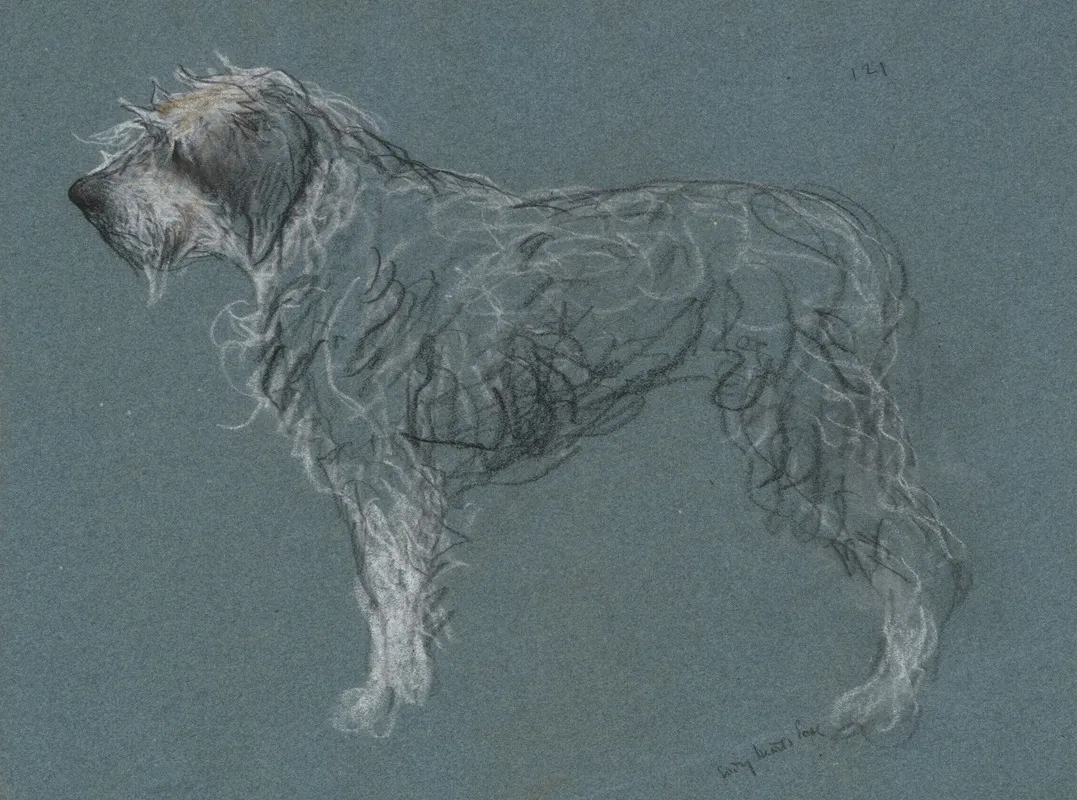 Study Of A Terrier
