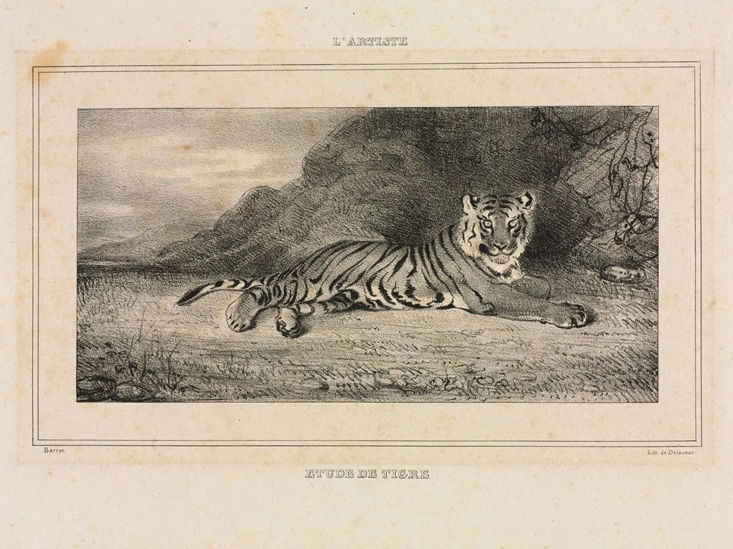 Study Of A Tiger 3