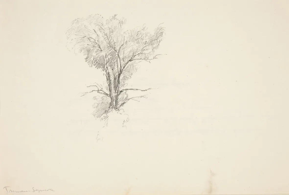 Study Of A Tree 10