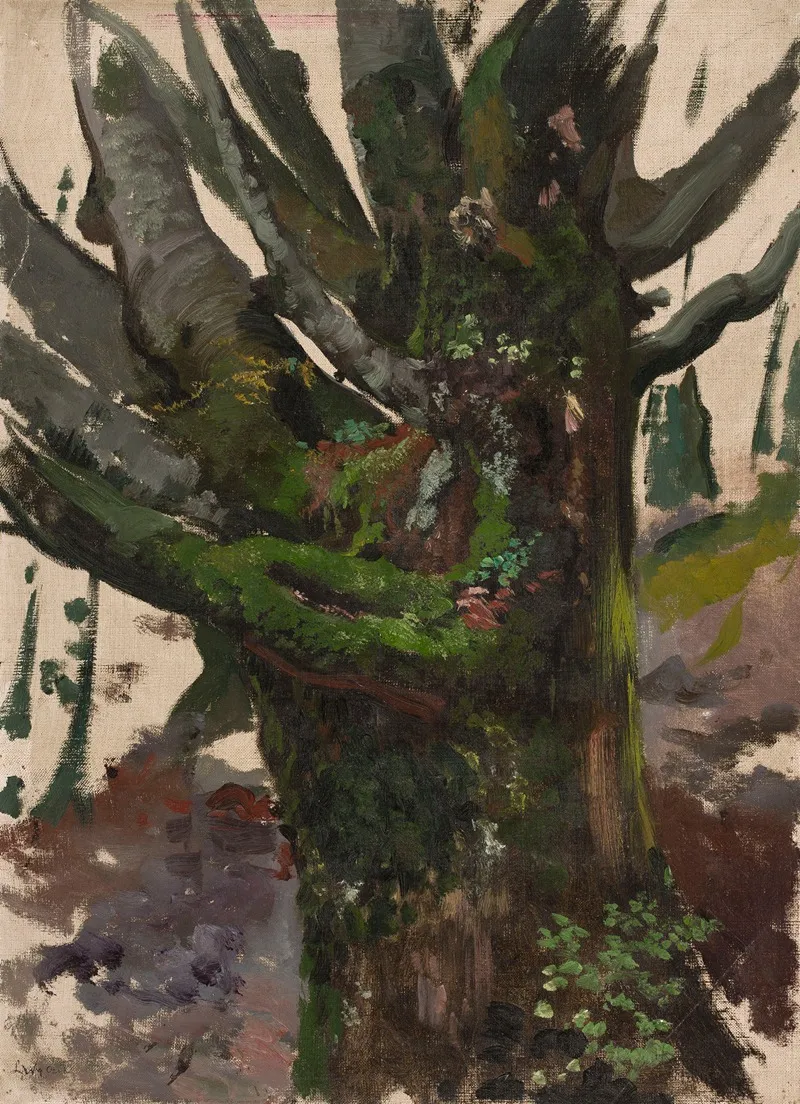 Study Of A Tree 20 by Leon Wyczółkowski - Canvas Print