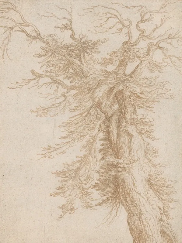 Study Of A Tree 3