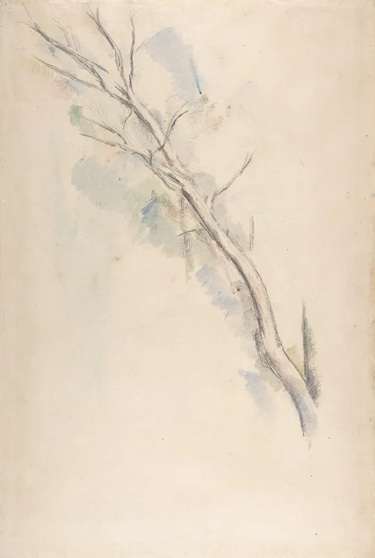 Study Of A Tree 4 by Paul Cézanne - Canvas Print