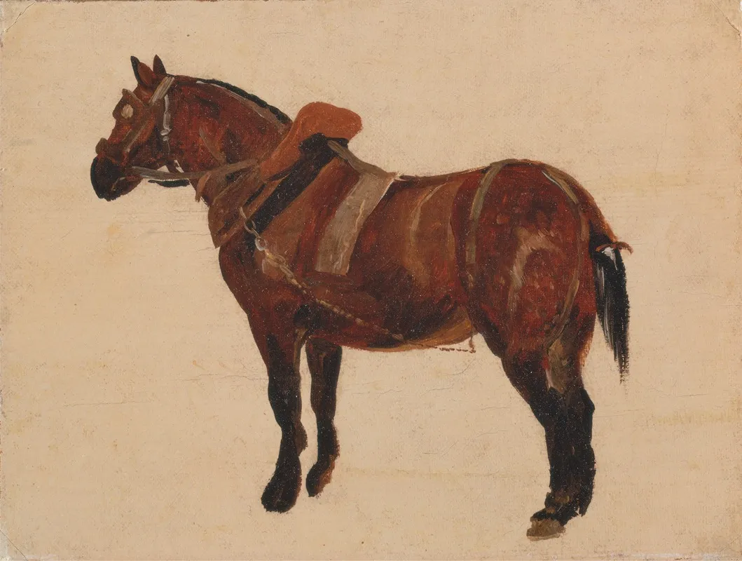 Study Of A Working Horse