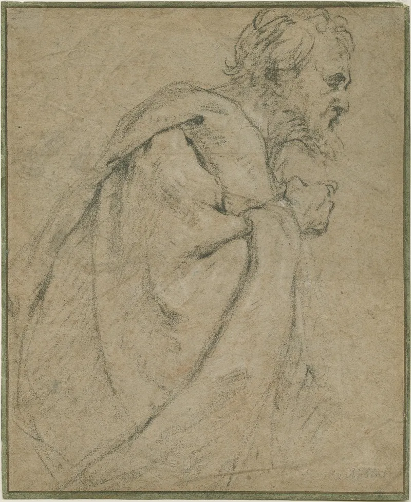 Study Of An Apostle 2 by Anthony van Dyck - Canvas Print