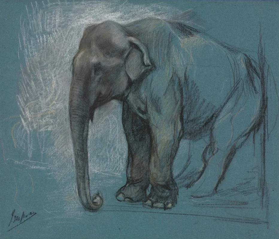Study Of An Elephant