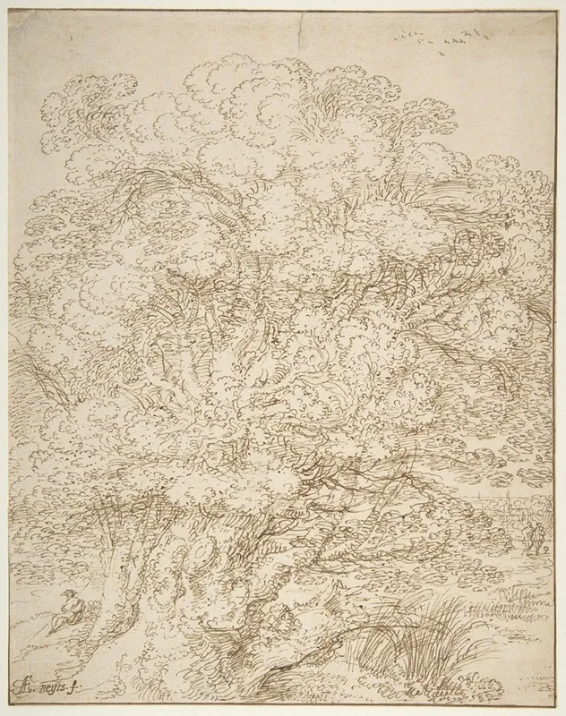 Study Of An Old Tree