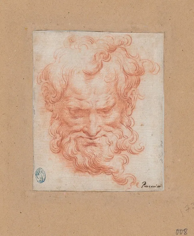 Study Of Bearded Man by Camillo Procaccini - Canvas Print