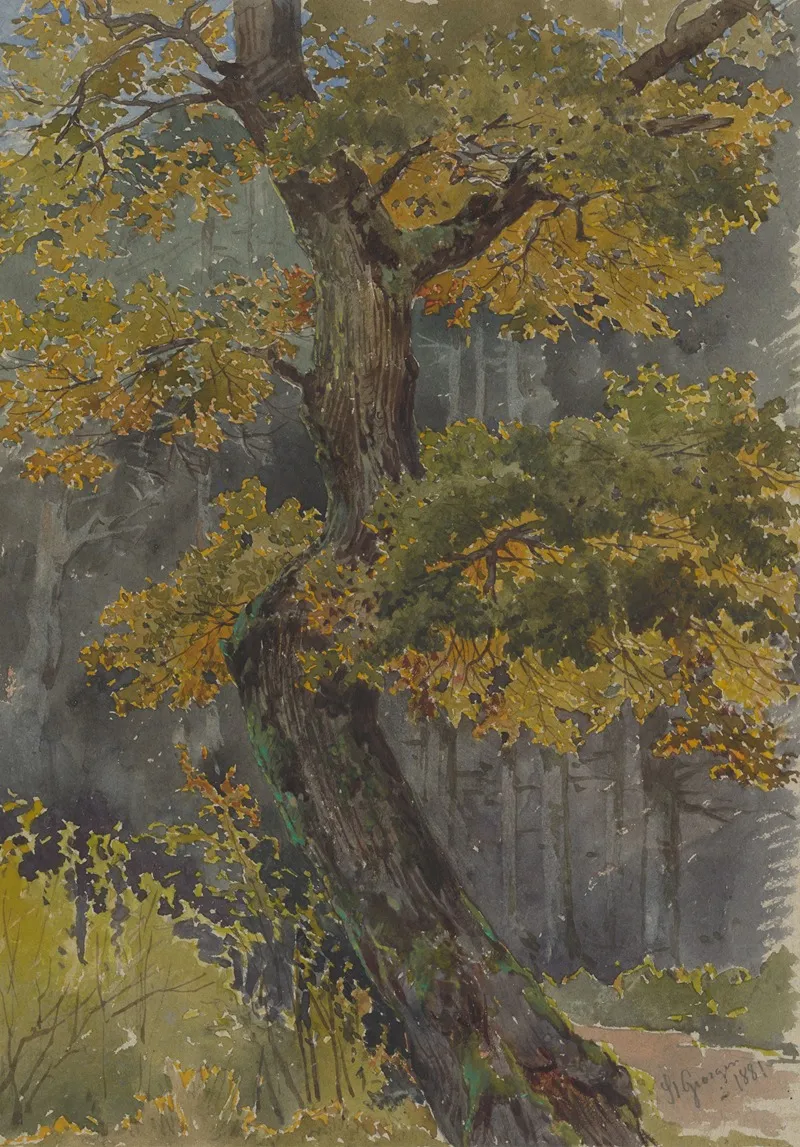 Study Of Broadleaved Tree Motif From Svaty Jur by Friedrich Carl von Scheidlin - Canvas Print