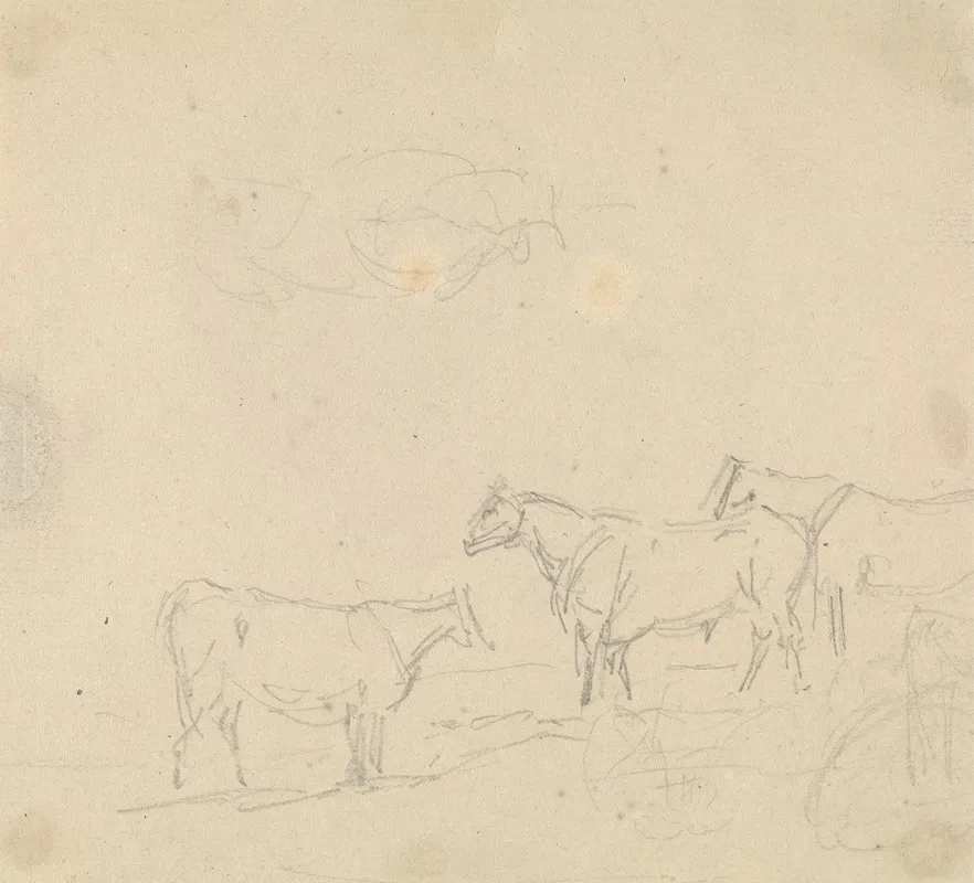 Study Of Cattle 2