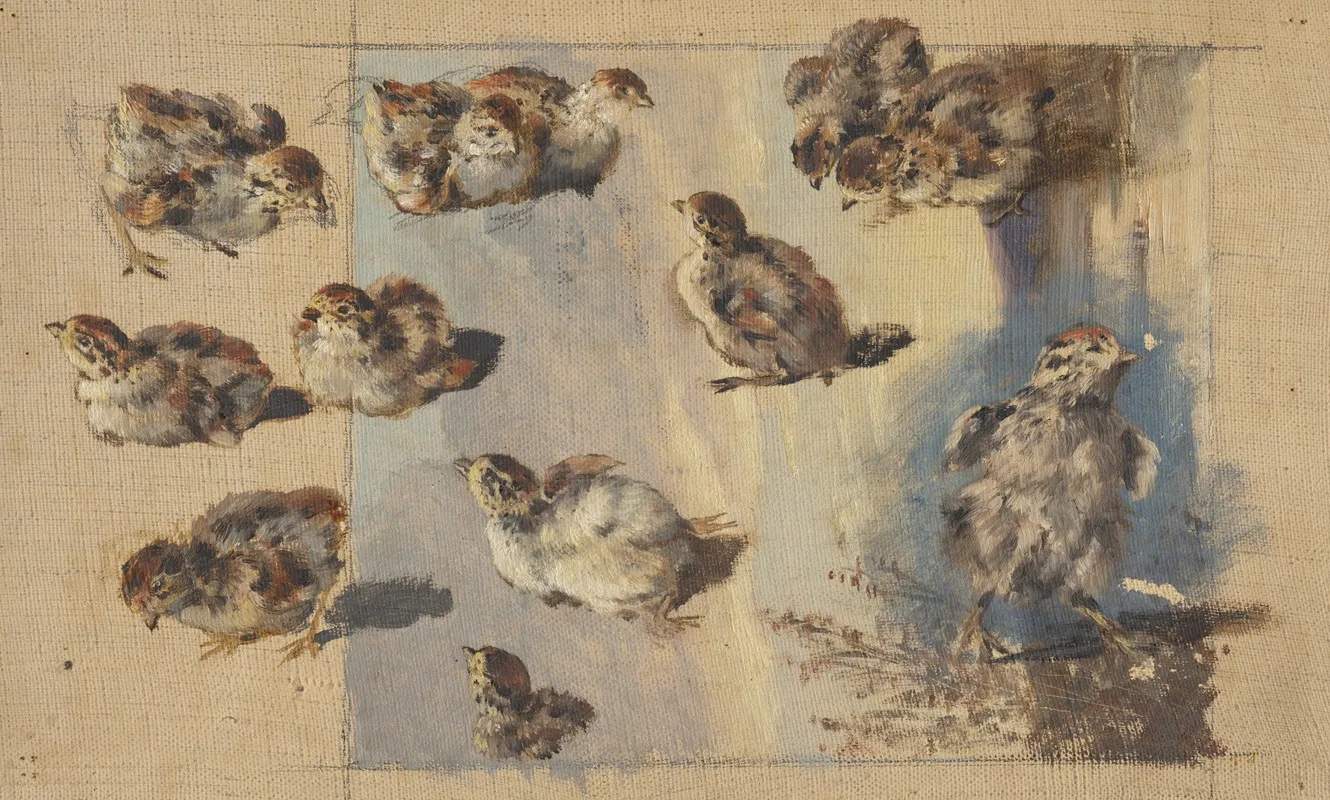 Study Of Chicks by Friedrich Carl von Scheidlin - Canvas Print