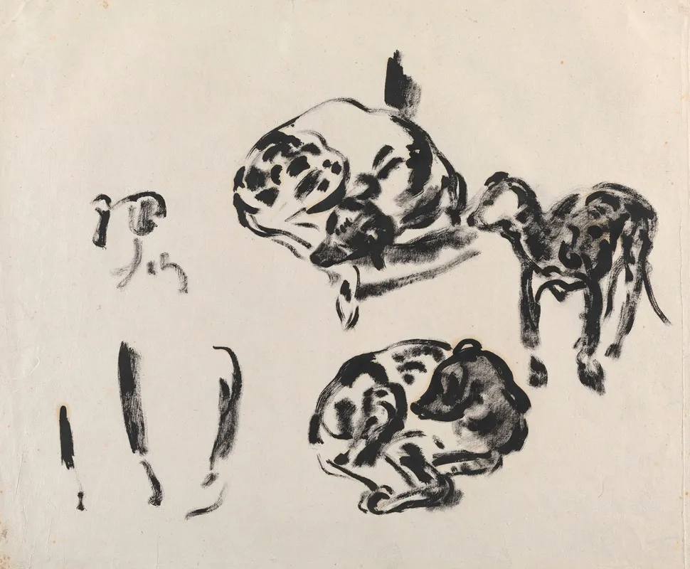 Study Of Dogs