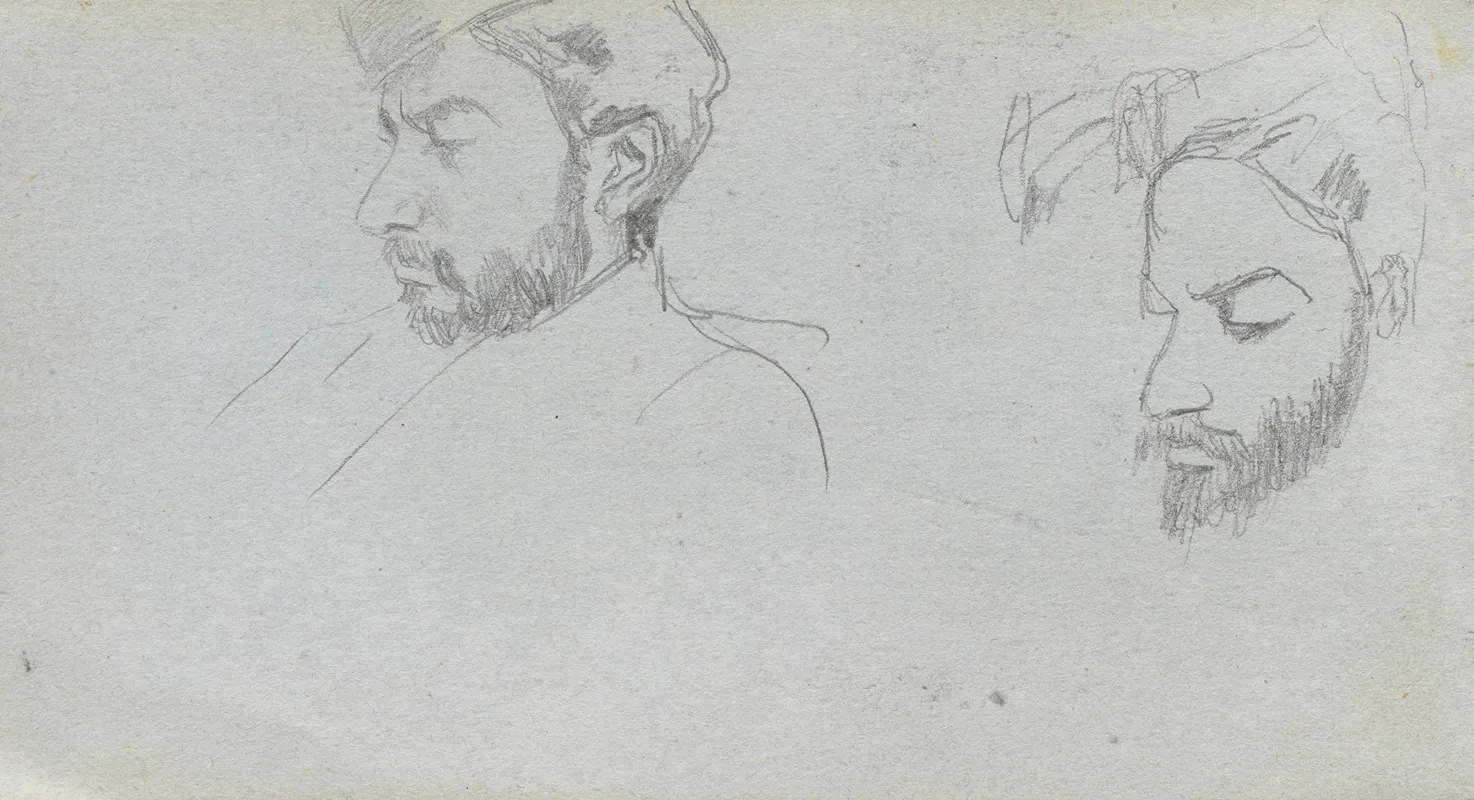 Study Of Faces In Profile