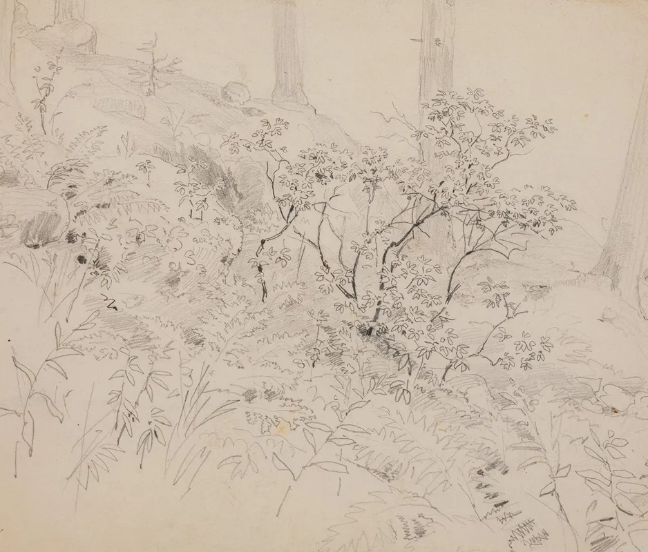 Study Of Foliage In A Wood by Paul Huet - Canvas Print