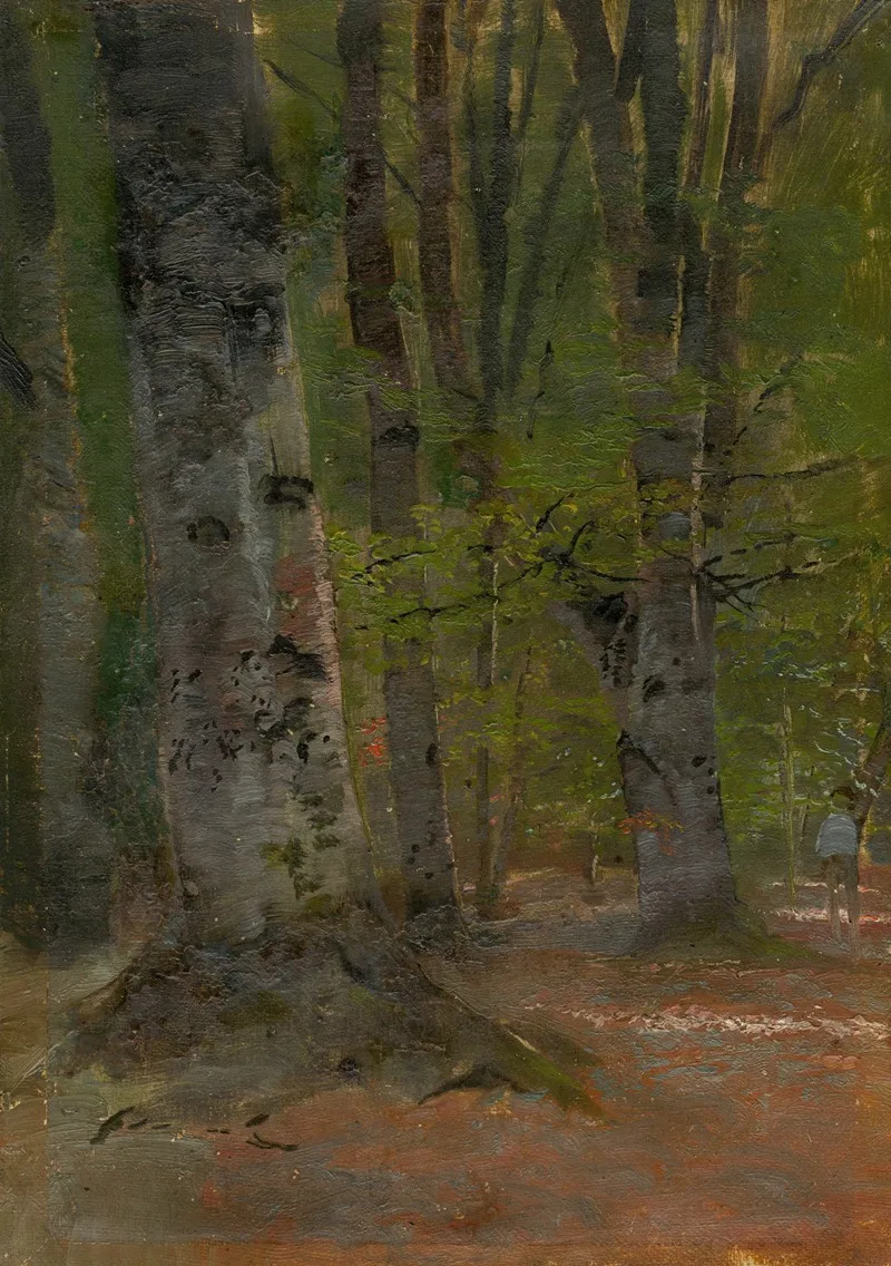 Study Of Forest Interior by Ladislav Mednyánszky - Canvas Print