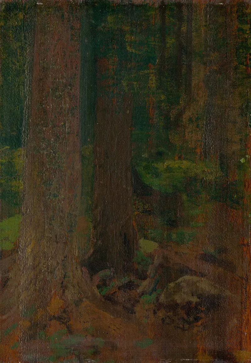 Study Of Forest