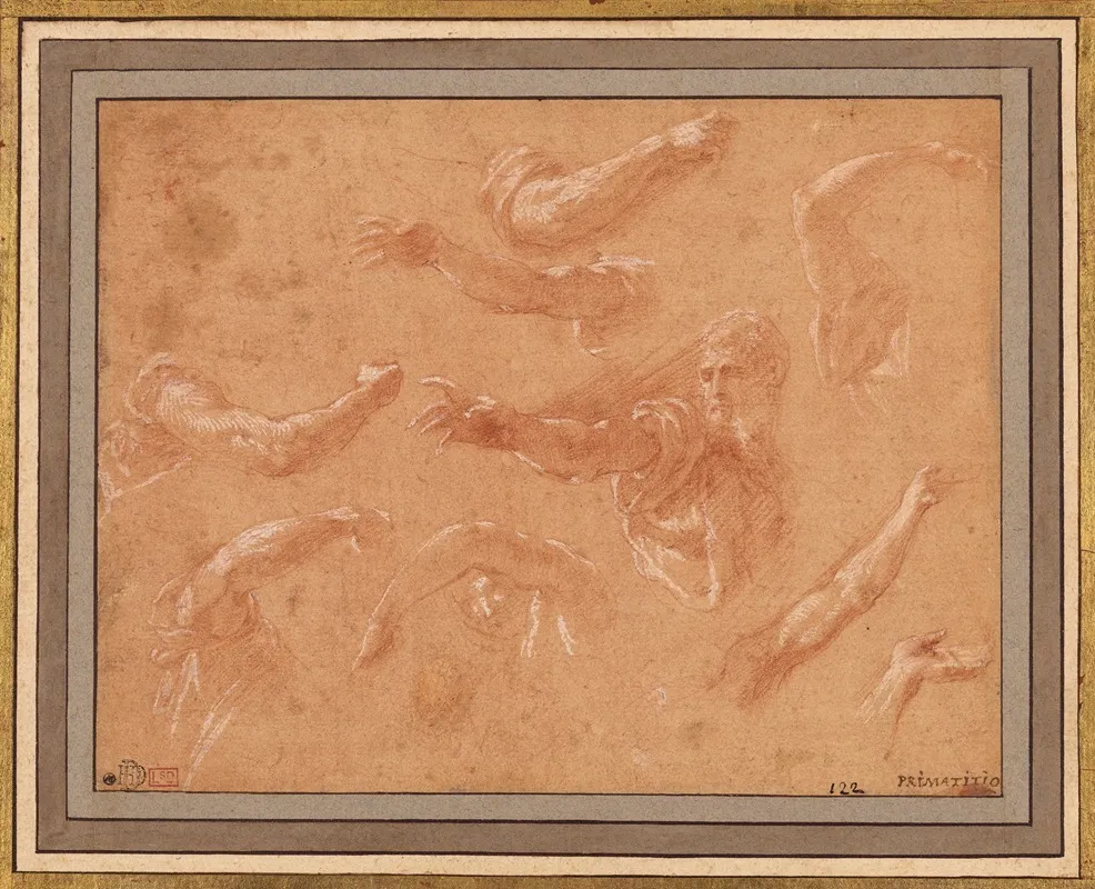 Study Of God The Father With Angels by Francesco Primaticcio - Canvas Print