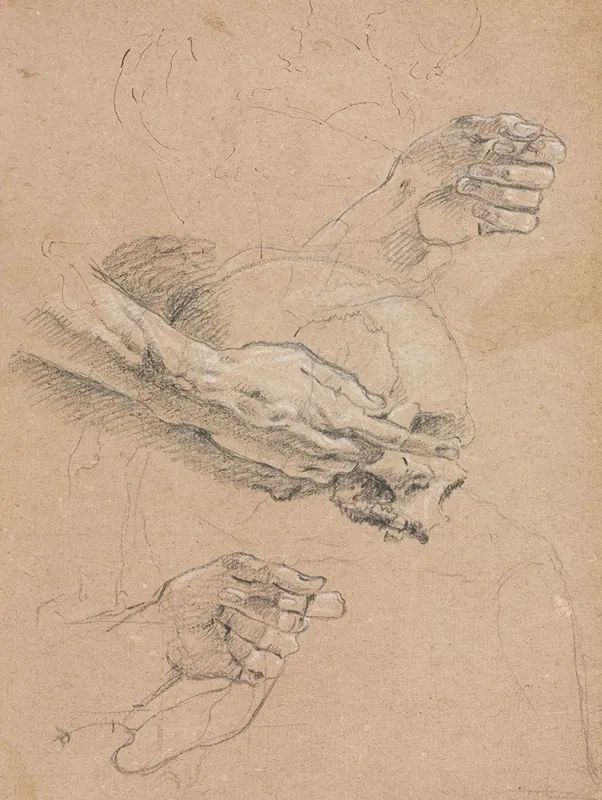 Study Of Hands And Skull