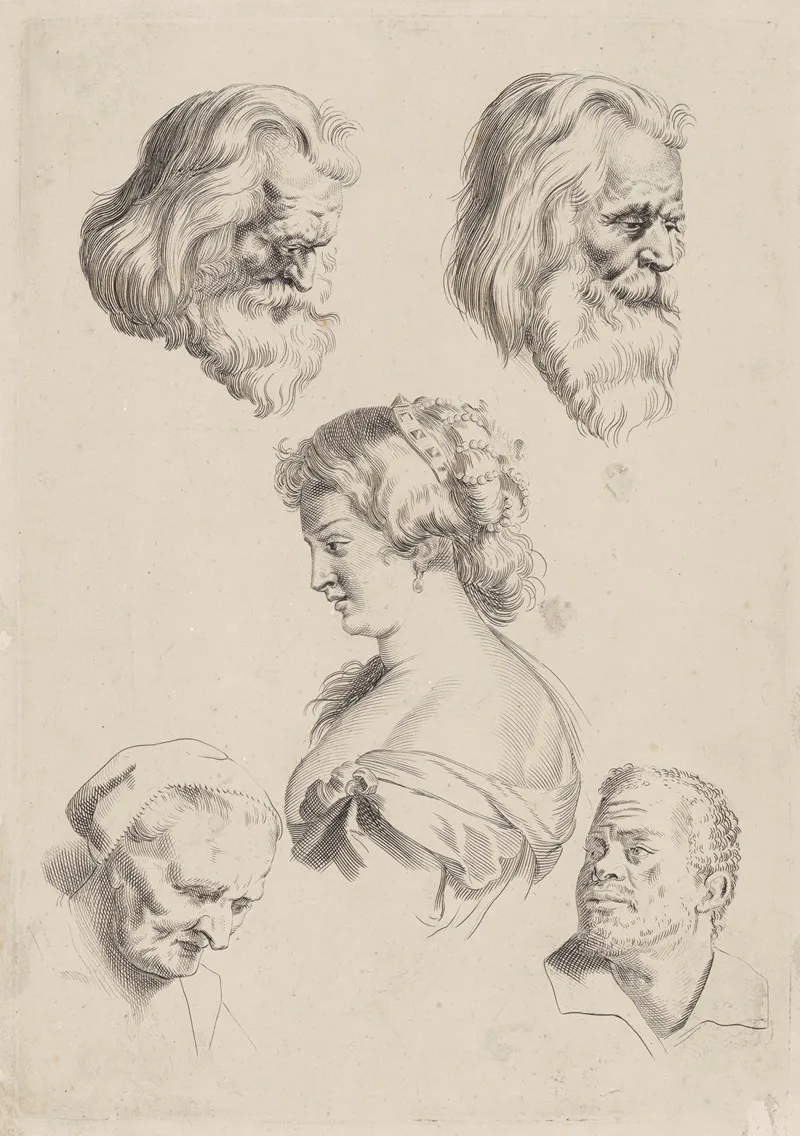 Study Of Heads 5
