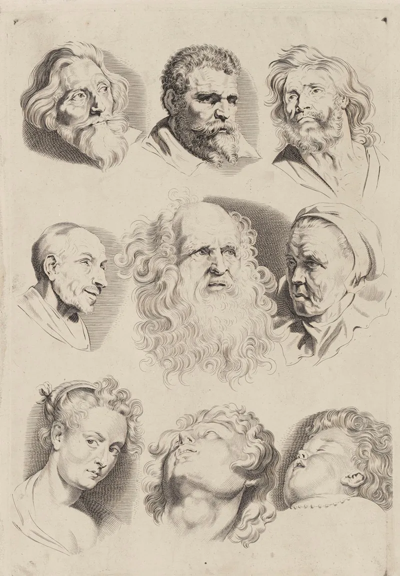Study Of Heads 8