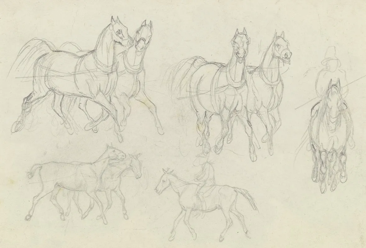 Study Of Horses At A Trot