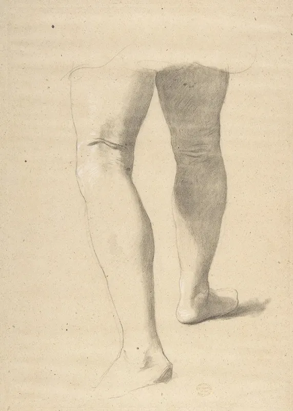 Study Of Legs by Romain Cazes - Canvas Print