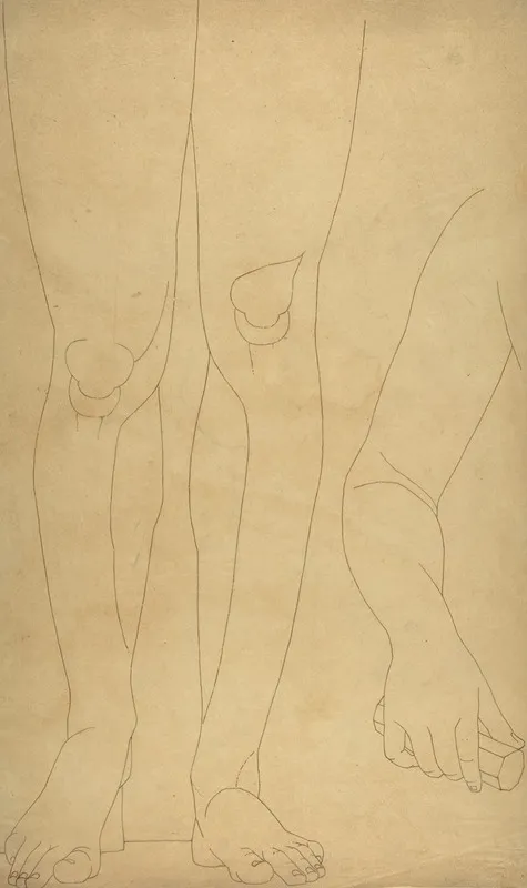 Study Of Lower Legs And An Arm