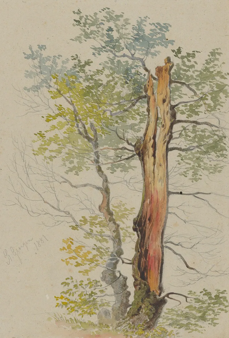Study Of Old And Young Tree by Friedrich Carl von Scheidlin - Canvas Print