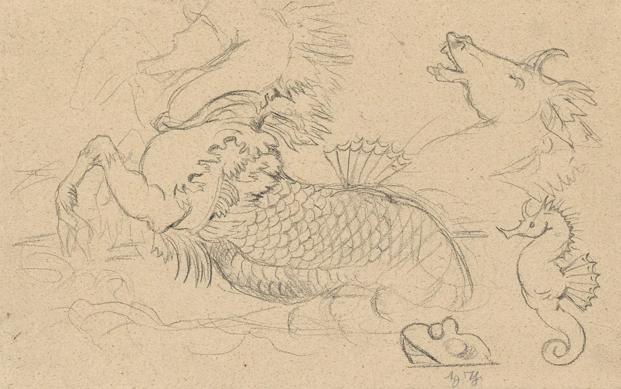 Study Of Sea Creatures