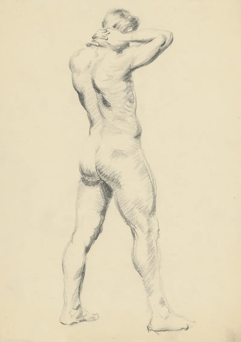 Study Of Standing Male Nude 2
