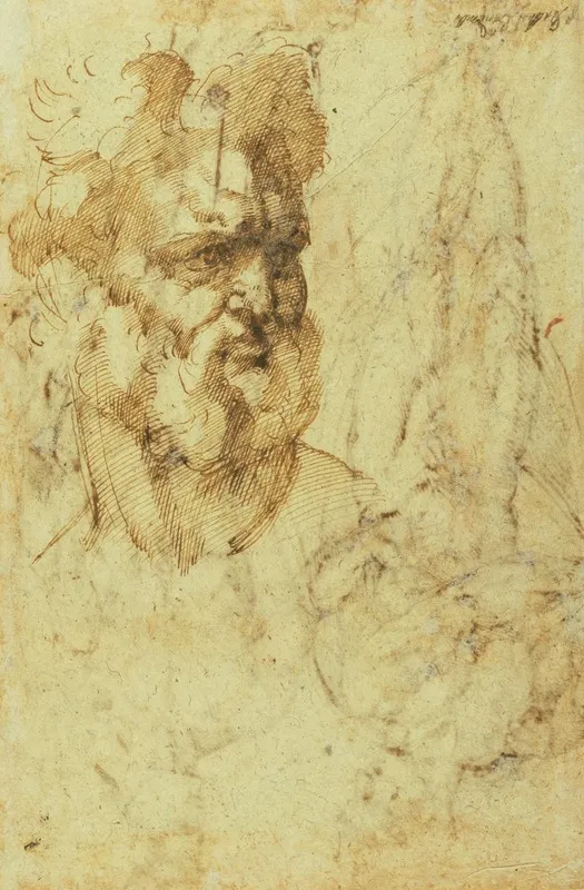 Study Of The Head Of A Bearded Man by Baccio Bandinelli - Canvas Print