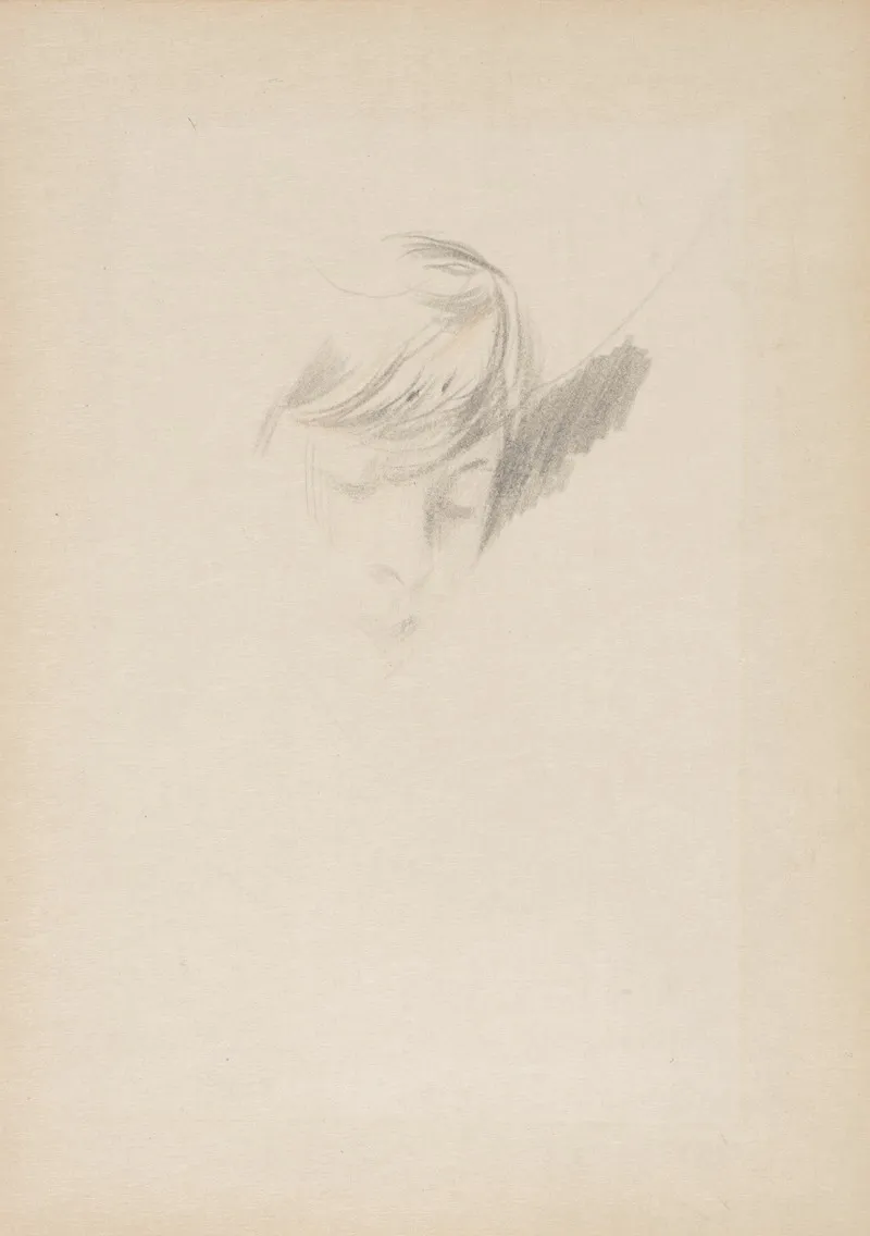 Study Of The Head Of A Lady