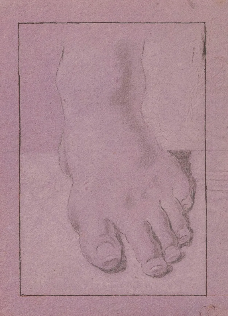 Study Of The Left Foot