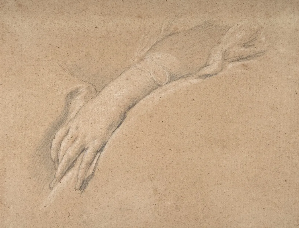 Study Of The Left Hand Of Mme De Pompadour