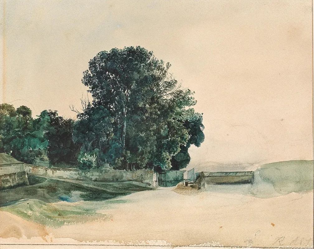 Study Of Tree by Rudolf von Alt - Canvas Print