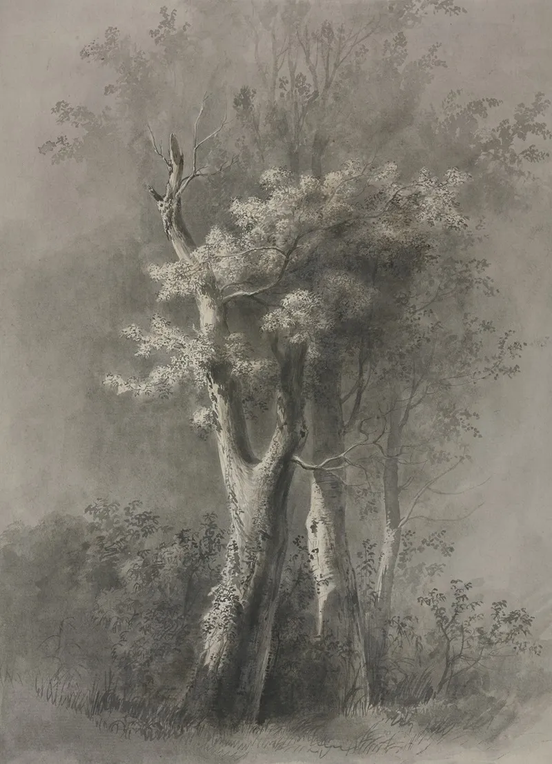 Study Of Trees 15 by Jean-Jacques de Boissieu - Canvas Print