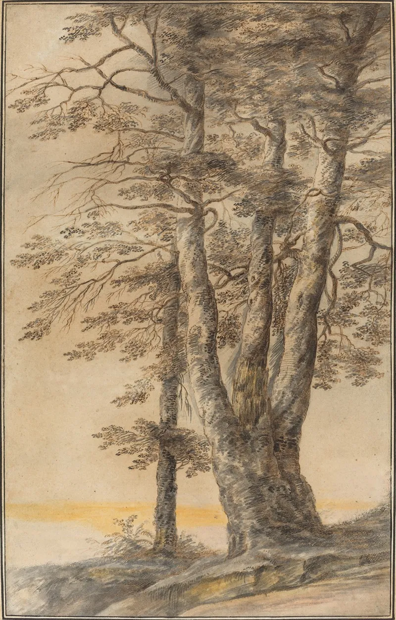 Study Of Trees 2 by Lucas van Uden - Canvas Print