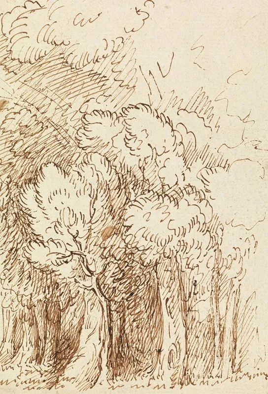 Study Of Trees 7