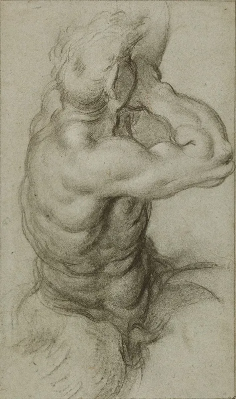 Study Of Triton Blowing A Conch Shell by Annibale Carracci - Canvas Print