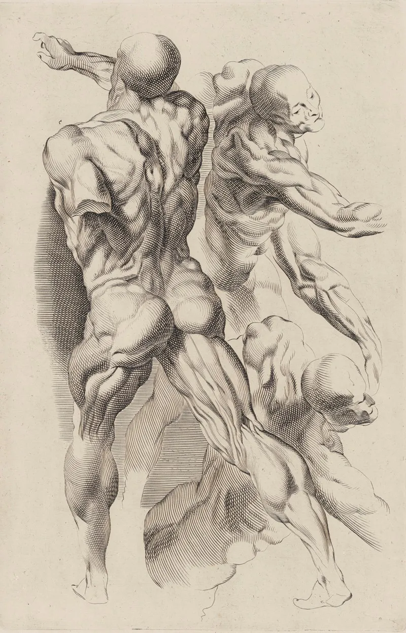 Study Of Two Naked Men