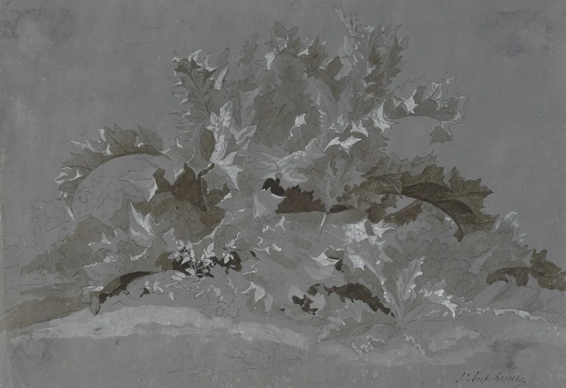 Study Of Weeds by Jean-Antoine Linck - Canvas Print