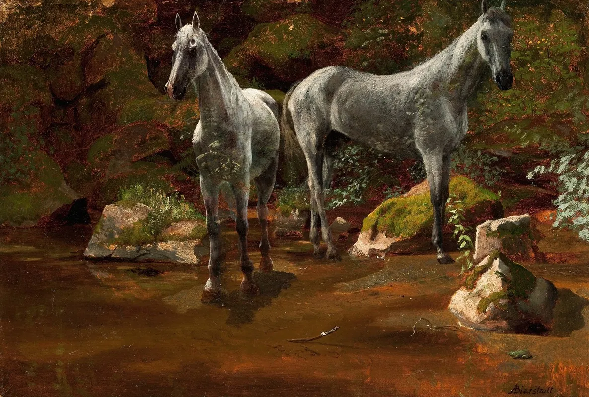 Study Of Wild Horses