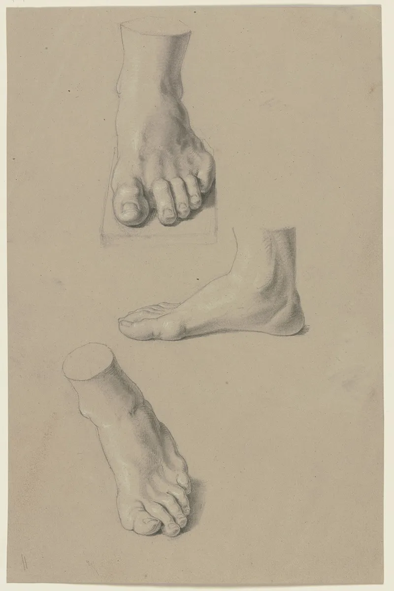 Study Sheet Feet