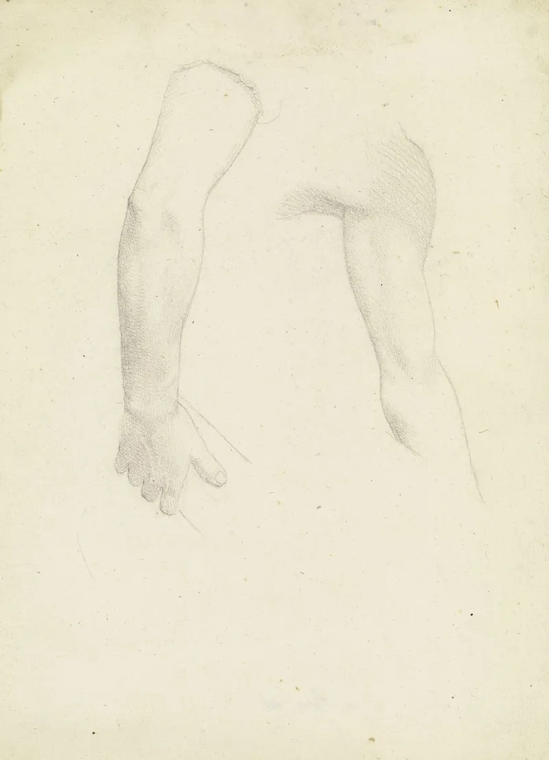 Study Sheet Two Arms by Franz Pforr - Canvas Print