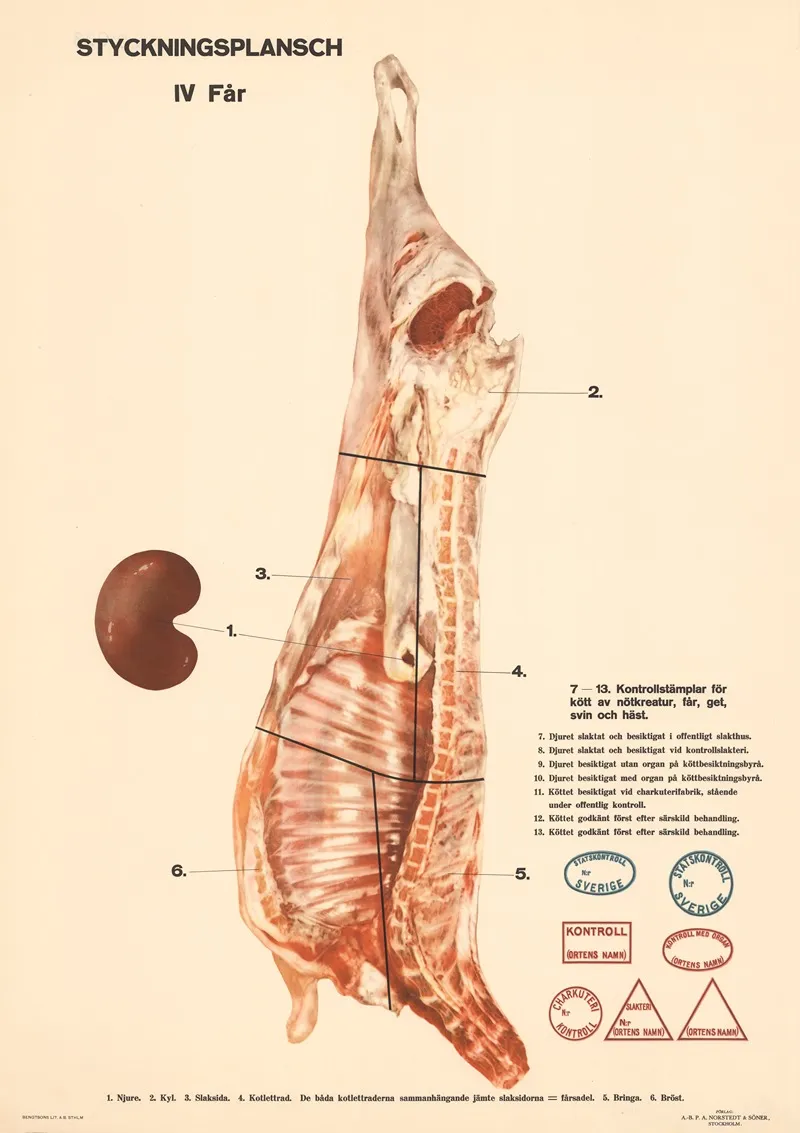 Styckningsplansch Iv Far by Max Richter - Canvas Print