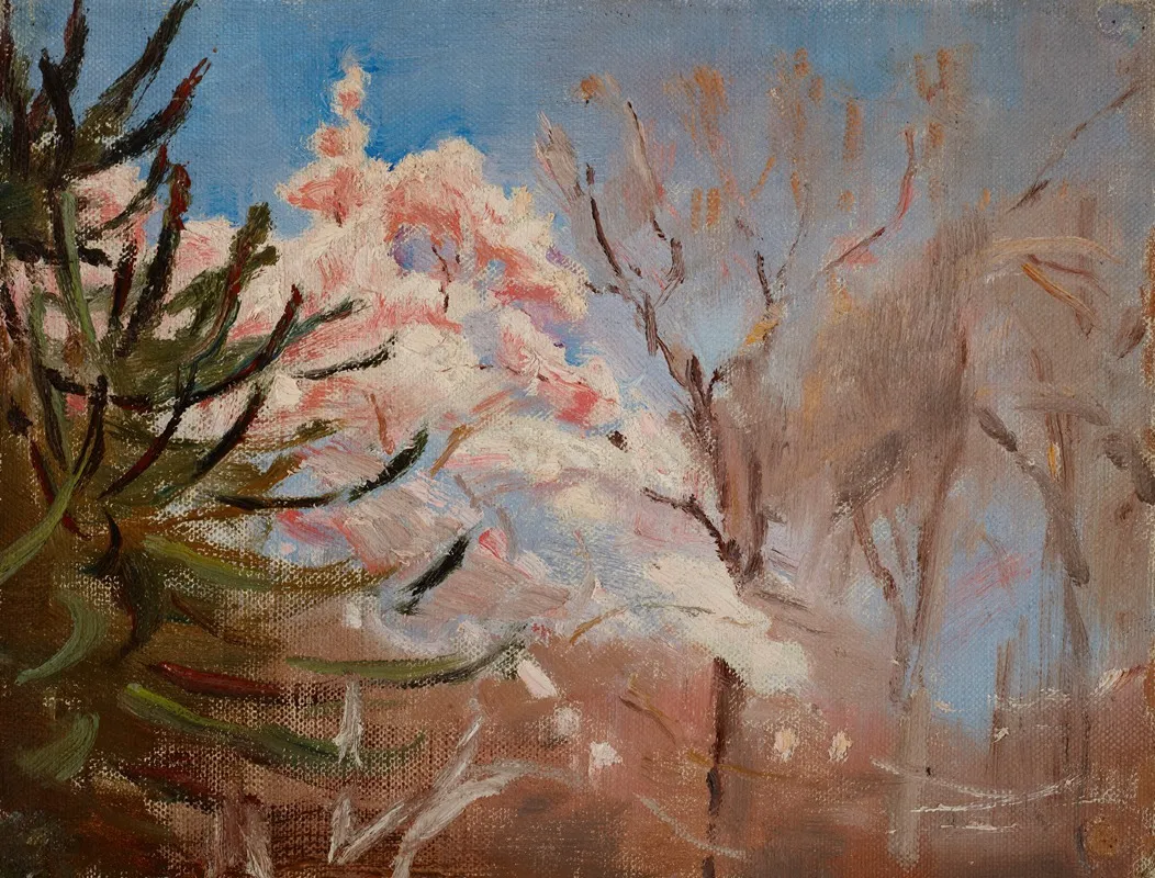 Sudak Spring
