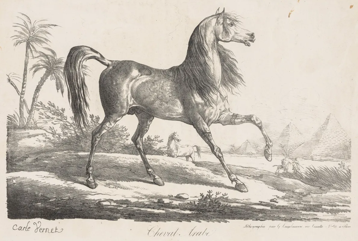 Suite De Chevaux Cheval Arabe by Carle Vernet - Canvas Print