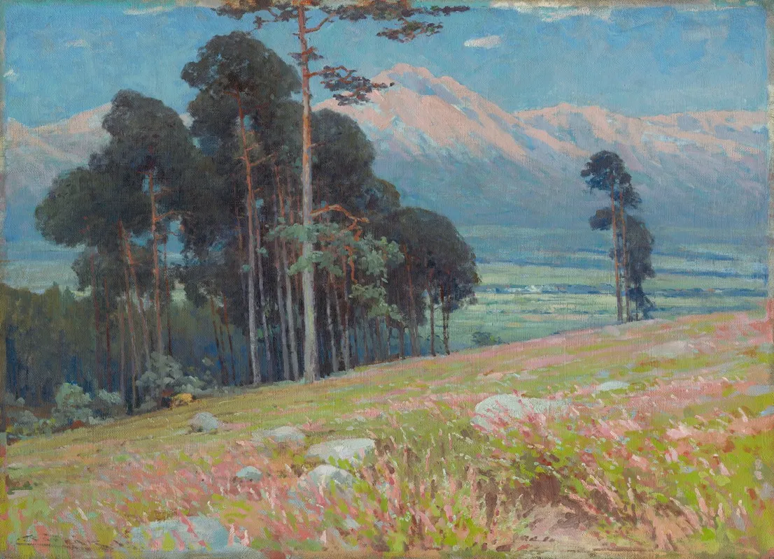 Summer Snow In The Tatras by Ľudovít Čordák - Canvas Print